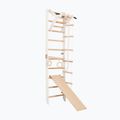 Drabinka gimnastyczna RINAGYM SPR A+SLIDE 4