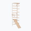 Drabinka gimnastyczna RINAGYM SPR B+SLIDE 3