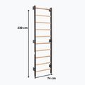 Drabinka gimnastyczna RINAGYM Steel 1 graphit 4