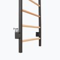 Drabinka gimnastyczna RINAGYM Steel Pure graphit 6