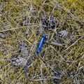 Śledź do namiotu Lesovik Spig blue 4