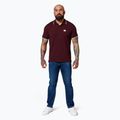 Koszulka polo męska Pitbull Polo Pique Stripes Regular burgundy 2