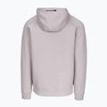 Bluza męska Pitbull Dogwood Hooded Sweatshirt white/blue 2