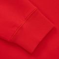 Bluza męska Pitbull Dogwood Hooded Sweatshirt fluo/red 8