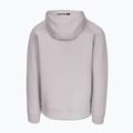 Bluza męska Pitbull Dogwood Hooded Zip Sweatshirt white/blue 8