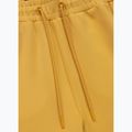 Spodenki męskie Pitbull Track Shorts Powers pale yellow 3