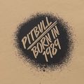 Bluza męska Pitbull Graffitti Crewneck Sweatshirt pale sand 7