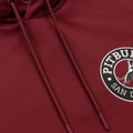Bluza męska Pitbull San Diego Ca Hooded Sweatshirt burgundy 3