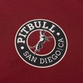 Bluza męska Pitbull San Diego Ca Hooded Sweatshirt burgundy 5