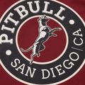Bluza męska Pitbull San Diego Ca Hooded Sweatshirt burgundy 6