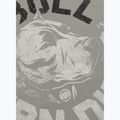 Bluza męska Pitbull Dog Sd Hooded Sweatshirt dusty salvia 7