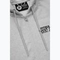 Bluza męska Pitbull Driving Hooded Zip Sweatshirt grey/melange 3