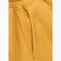 Spodenki męskie Pitbull Lancaster 2 washed yellow 10