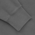 Bluza męska Pitbull Mt Fuji Crewneck Sweatshirt washed grey 5