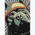 Koszulka męska Pitbull Mt. Fuji washed grey 6