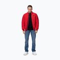 Kurtka męska Pitbull Naylor Padded red 2