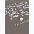 Bluza męska Pitbull So Cal Crewneck taupe 7