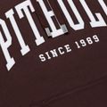 Bluza męska Pitbull Norton Hooded dark burgundy 7