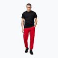 Spodnie męskie Pitbull Small Logo HD Track red 2