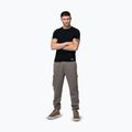 Spodnie męskie Pitbull Cypress Sport Cargo taupe 2
