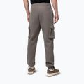 Spodnie męskie Pitbull Cypress Sport Cargo taupe 3