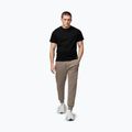Spodnie męskie Pitbull Sampson Track Pants pale sand 2