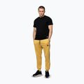 Spodnie męskie Pitbull Trackpants Tape Logo Terry Group pale yellow 2