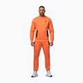 Bluza męska Pitbull Dogwood Crewneck Sweatshirt fluo orange 2