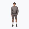 Bluza męska Pitbull Dogwood Crewneck Sweatshirt taupe 2