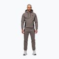 Bluza męska Pitbull Dogwood Hooded Sweatshirt taupe 2
