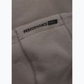 Bluza męska Pitbull Dogwood Hooded Sweatshirt taupe 9