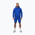 Bluza męska Pitbull Dogwood Hooded Sweatshirt imperial blue 2