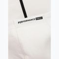 Bluza męska Pitbull Dogwood Hooded Zip Sweatshirt off white 9