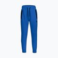 Spodnie męskie Pitbull Dogwood Track imperial blue 4