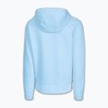 Bluza męska Pitbull Sampson Hooded Sweatshirt sky blue 6