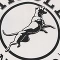 Bluza męska Pitbull Track Jacket San Diego 13