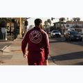 Bluza męska Pitbull Track Jacket San Diego 15