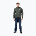 Bluza męska Pitbull Nugget Small Logo Hooded sage green 2