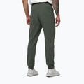 Spodnie męskie Pitbull Nugget Jogging sage green 3