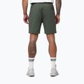 Spodenki męskie Pitbull Nugget Small Logo sage green 3