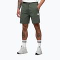 Spodenki męskie Pitbull Nugget Small Logo sage green 5