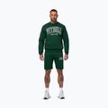 Bluza męska Pitbull Badger Crewneck hunter/green 2