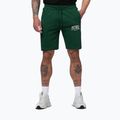 Spodenki męskie Pitbull Badger hunter green