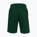 Spodenki męskie Pitbull Badger hunter green 5