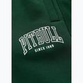 Spodenki męskie Pitbull Badger hunter green 9