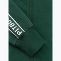 Bluza męska Pitbull Nexus Track Jacket bottle green 10