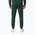 Spodnie męskie Pitbull Nexus Track bottle green 3