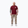 Koszulka męska Pitbull Dog SD burgundy 2