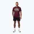 Koszulka męska Pitbull Norton burgundy 2