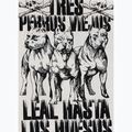 Koszulka męska Pitbull Tres Perros Viejos off white 7
